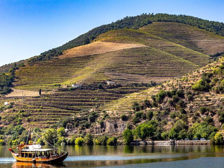 Quinta do Infantado, Sabrosa, Portugal
