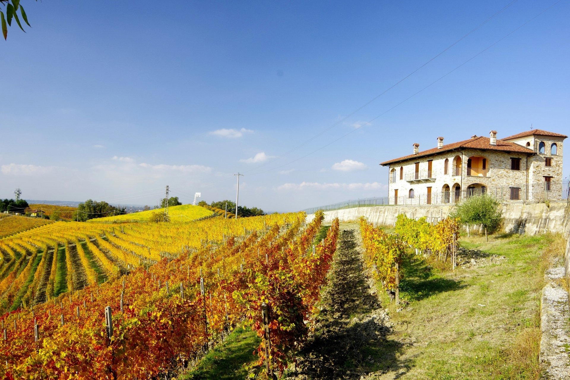 Manfredi Aldo winery in Farigliano