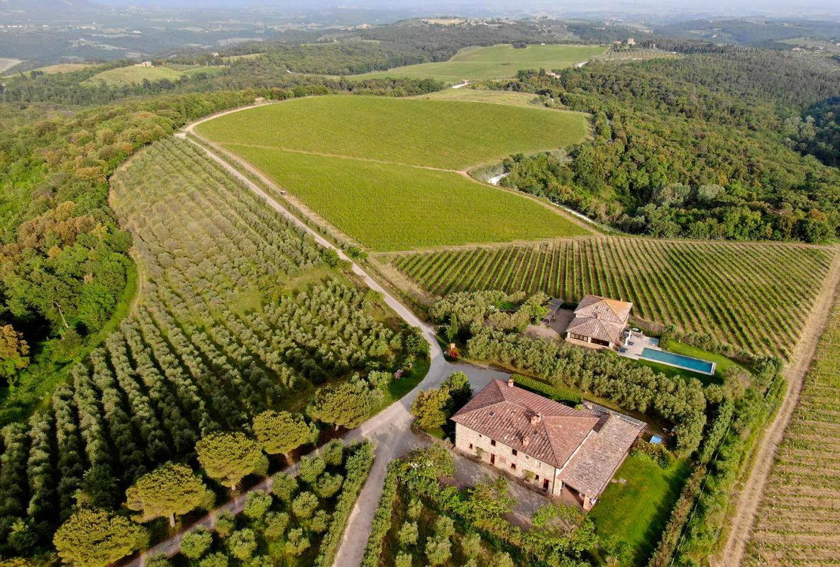 Terra di Seta winery in Castelnuovo Berardenga