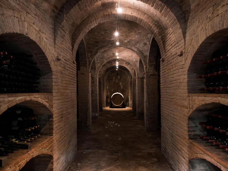 Fattoria Uccelliera, Crespina Lorenzana, Italy