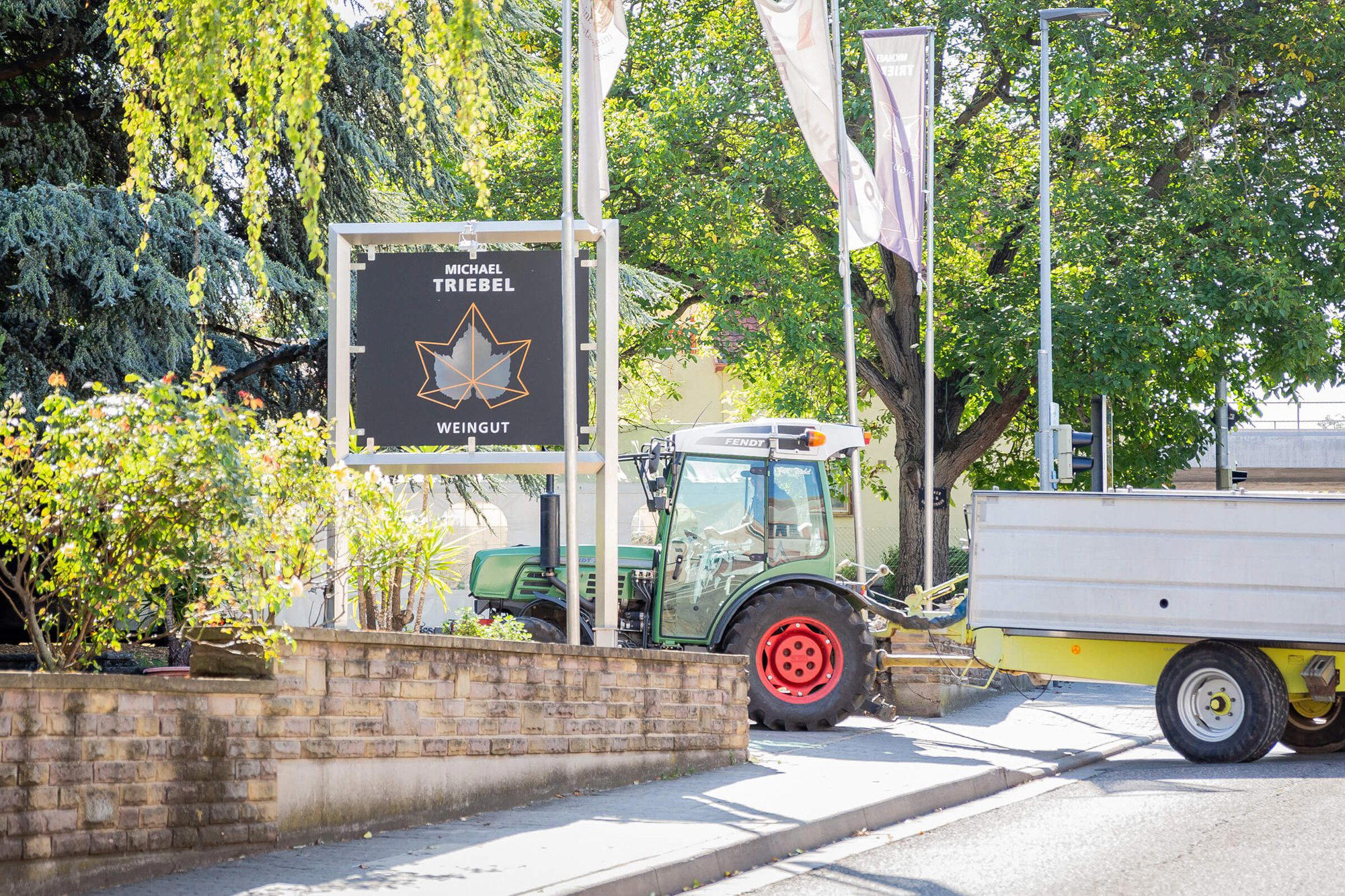 Weingut Michael Triebel winery in Grunstadt, Germany