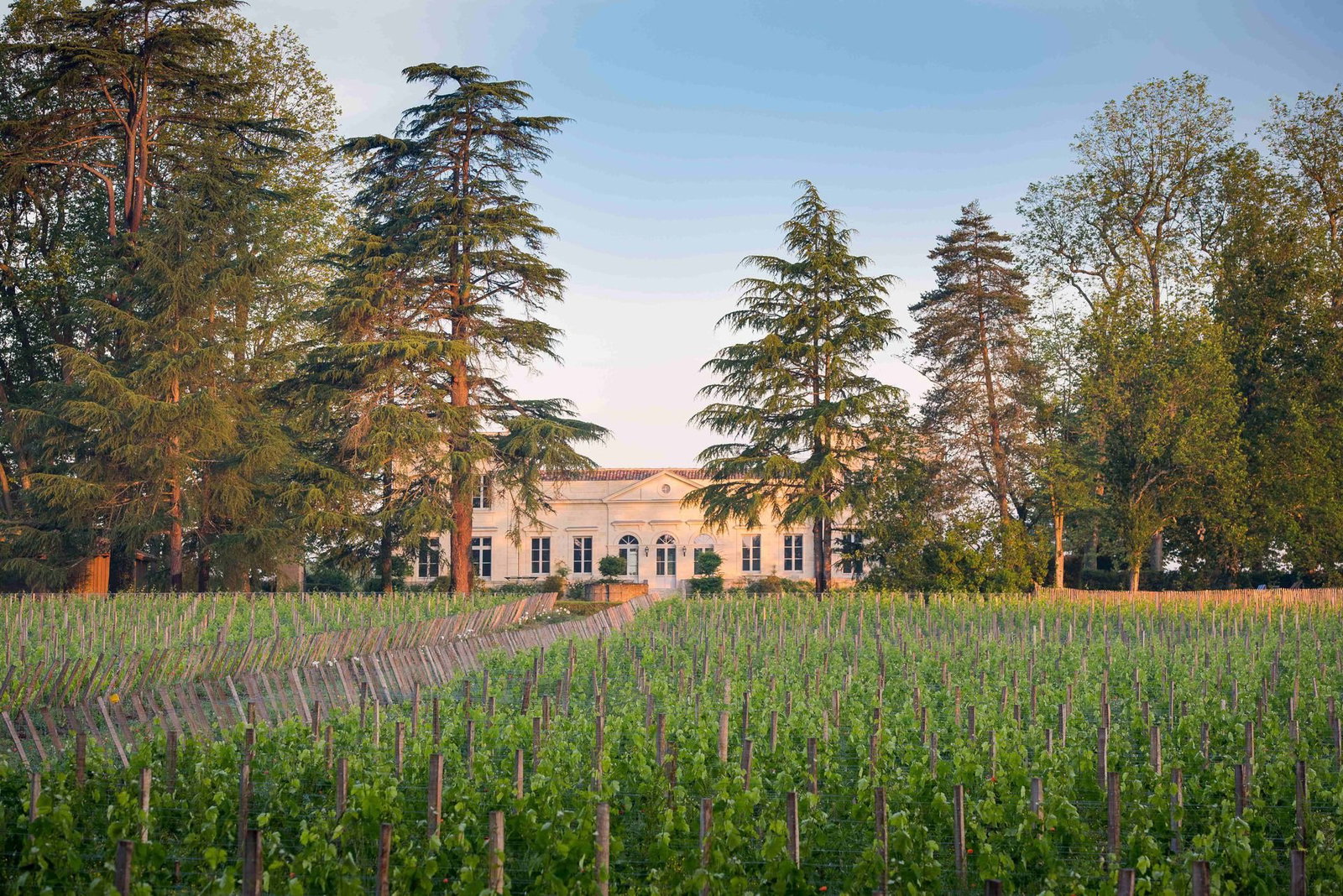 Château Le Pape, Léognan, France