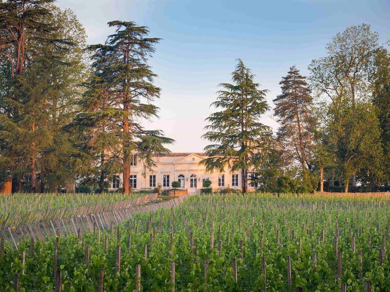 Château Le Pape, Léognan, France