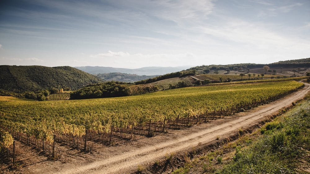 Casisano, Montalcino, Italy