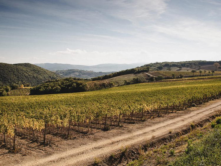 Casisano, Montalcino, Italy