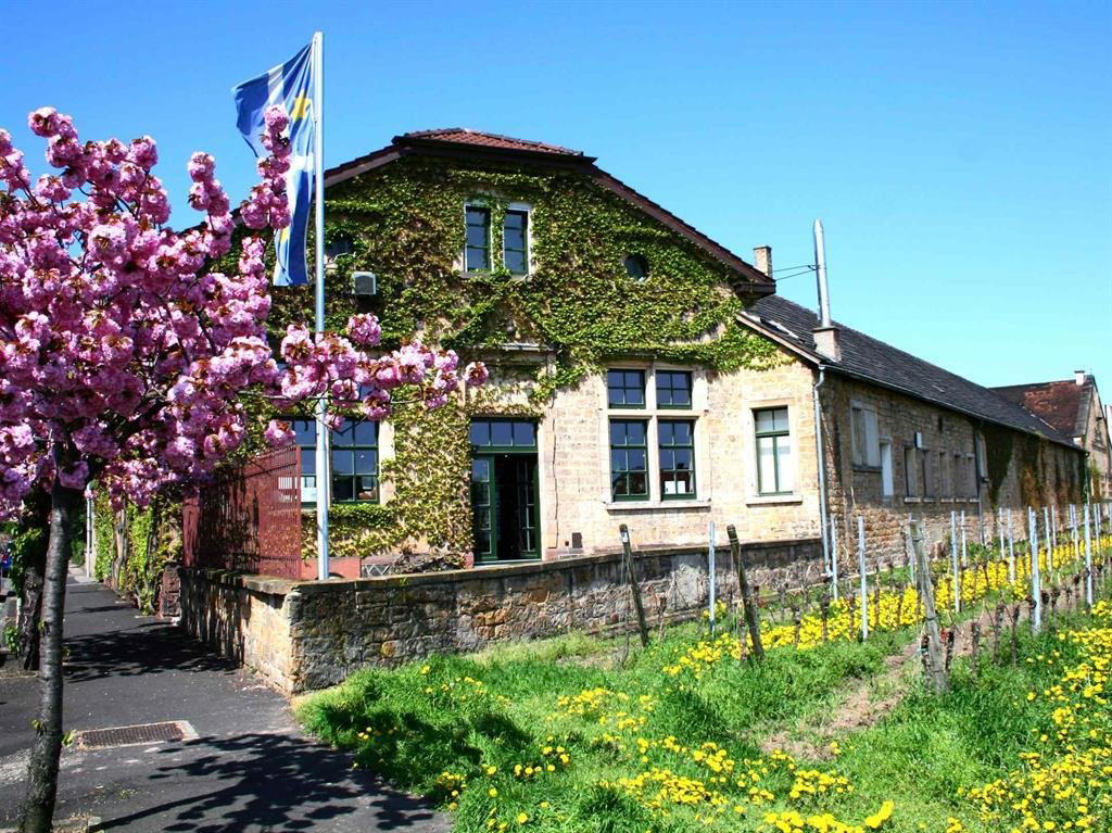 Winzerverein Deidesheim winery in Deidesheim