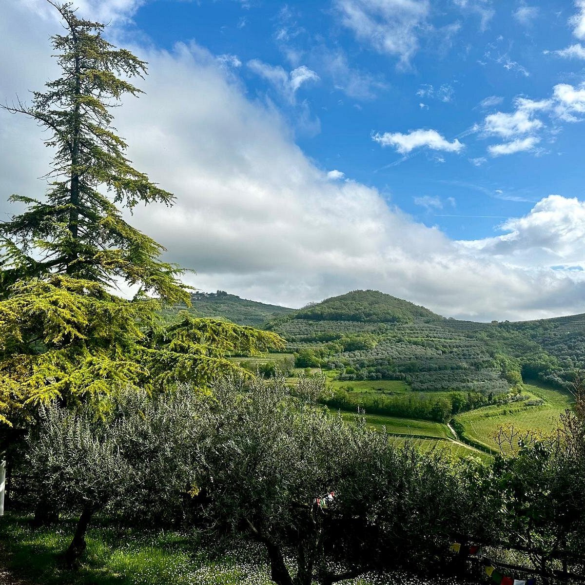 Casa Zen, Winery in Mezzane Di Sotto