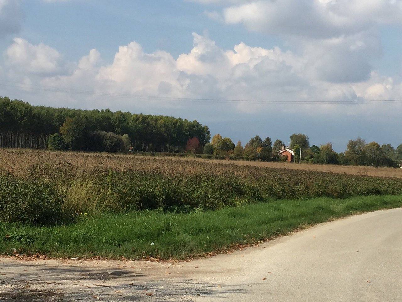 Bosco Albano, Pasiano Di Pordenone, Italy
