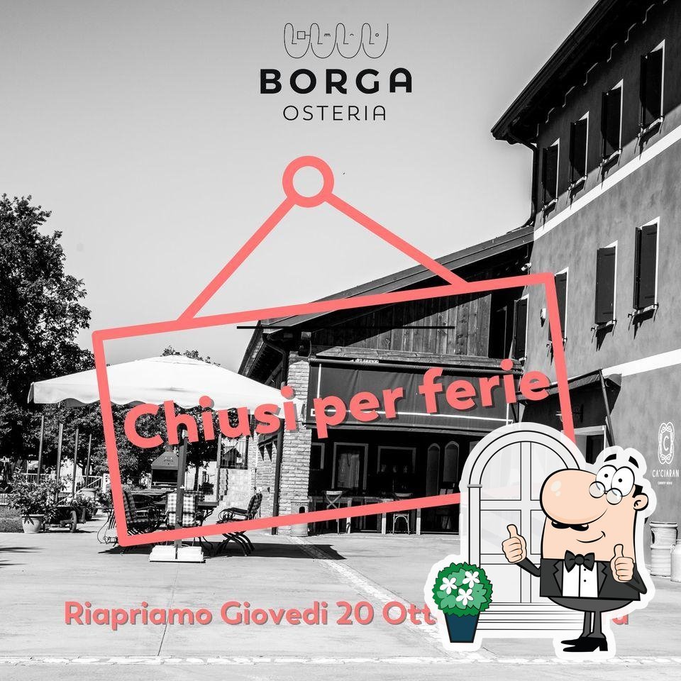 Borga Since 1940, Winery in Chiarano