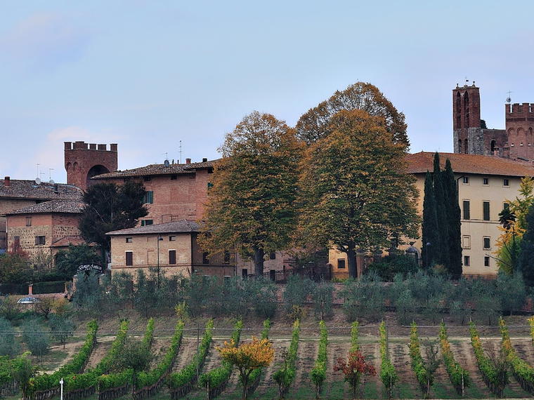 Azienda Agricola Le Fonti, Monteroni D Arbia, Italy