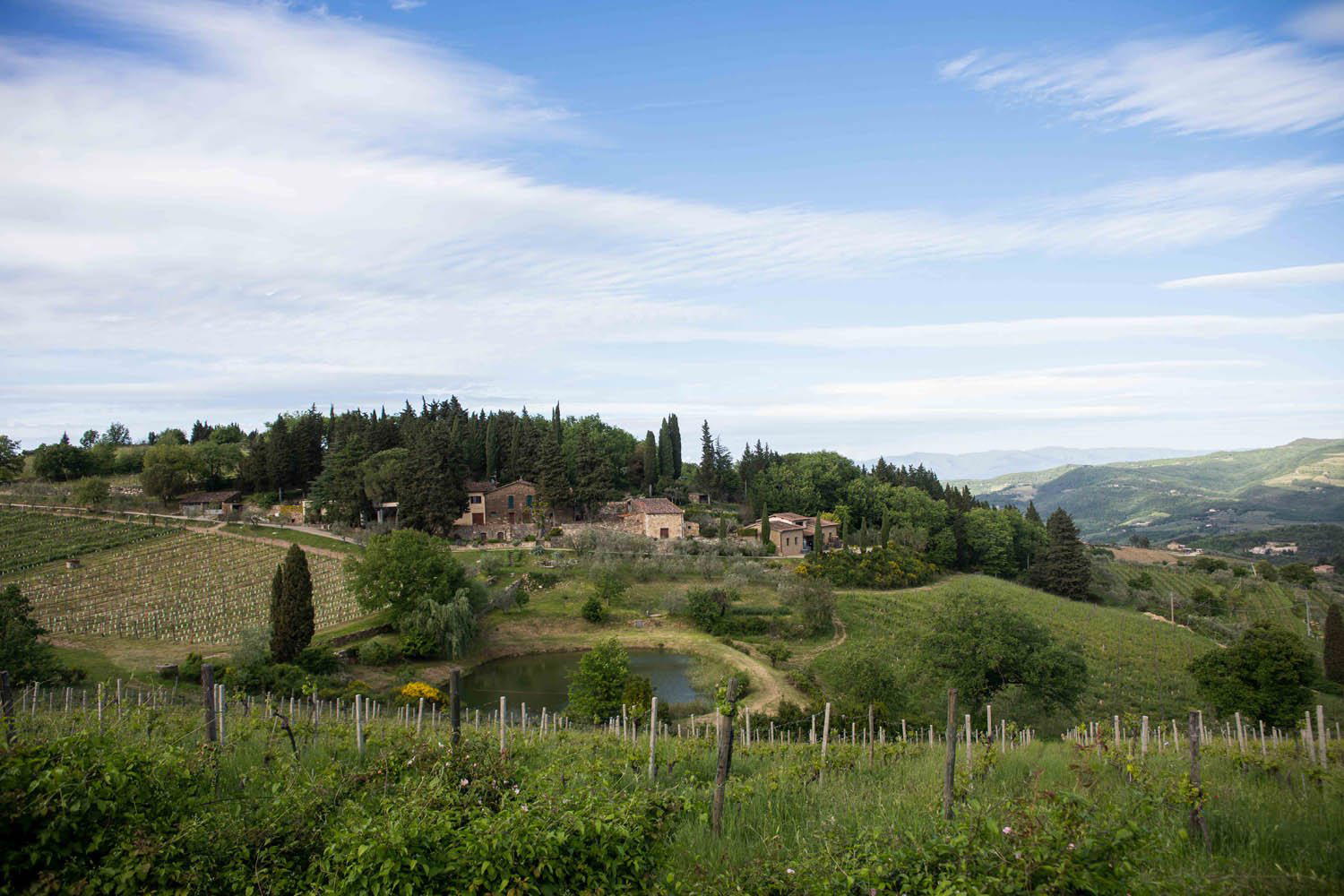 Vecchie Terre di Montefili winery in Greve in Chianti, Italy