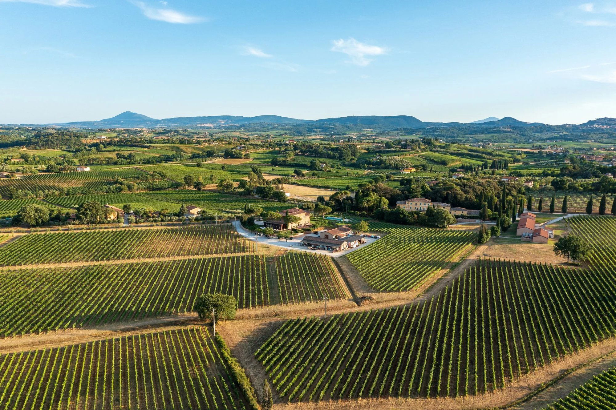 Fattoria Svetoni, Winery in Montepulciano