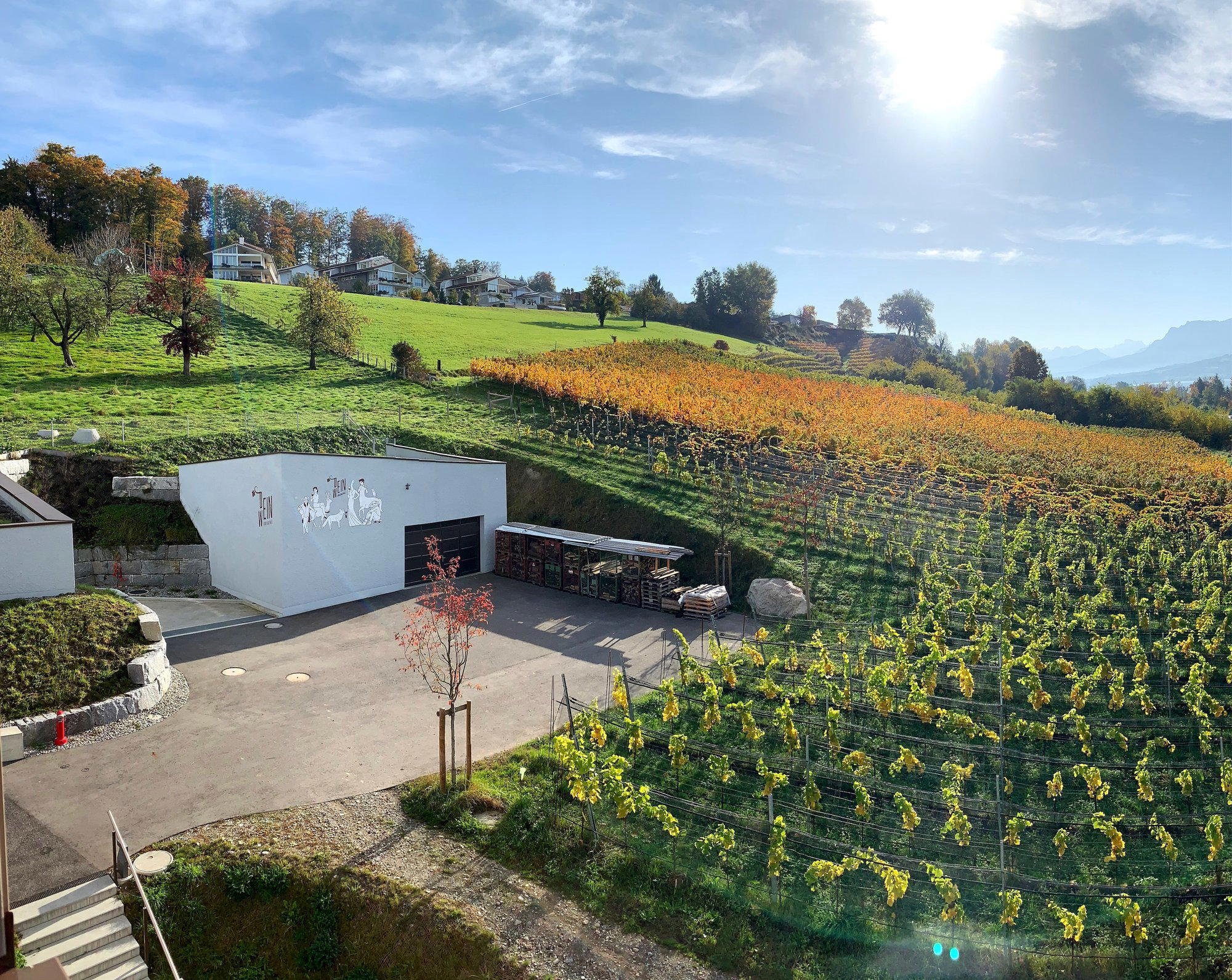 Weinbau Triengen, Barmet & Zihler winery in Schenkon