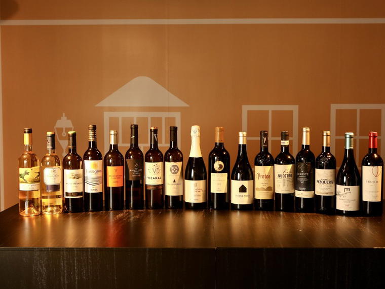 Bodegas Vitulia, Aranda de Duero, Spain