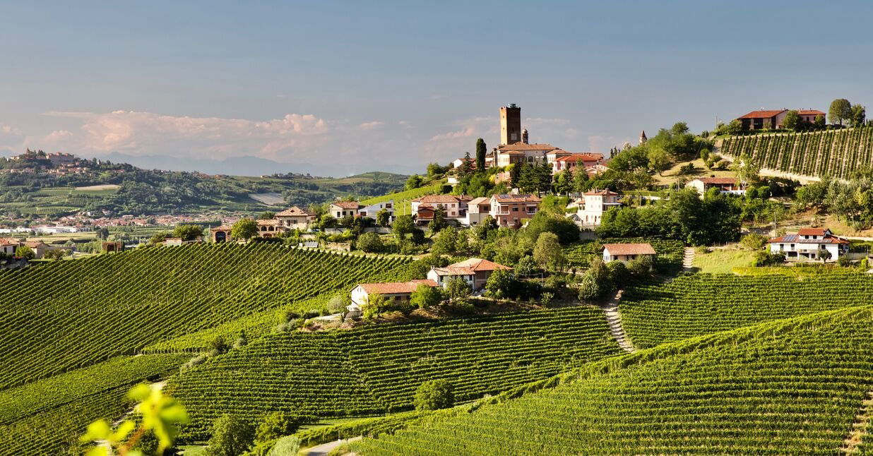 Animaetnea, Winery in Passopisciaro