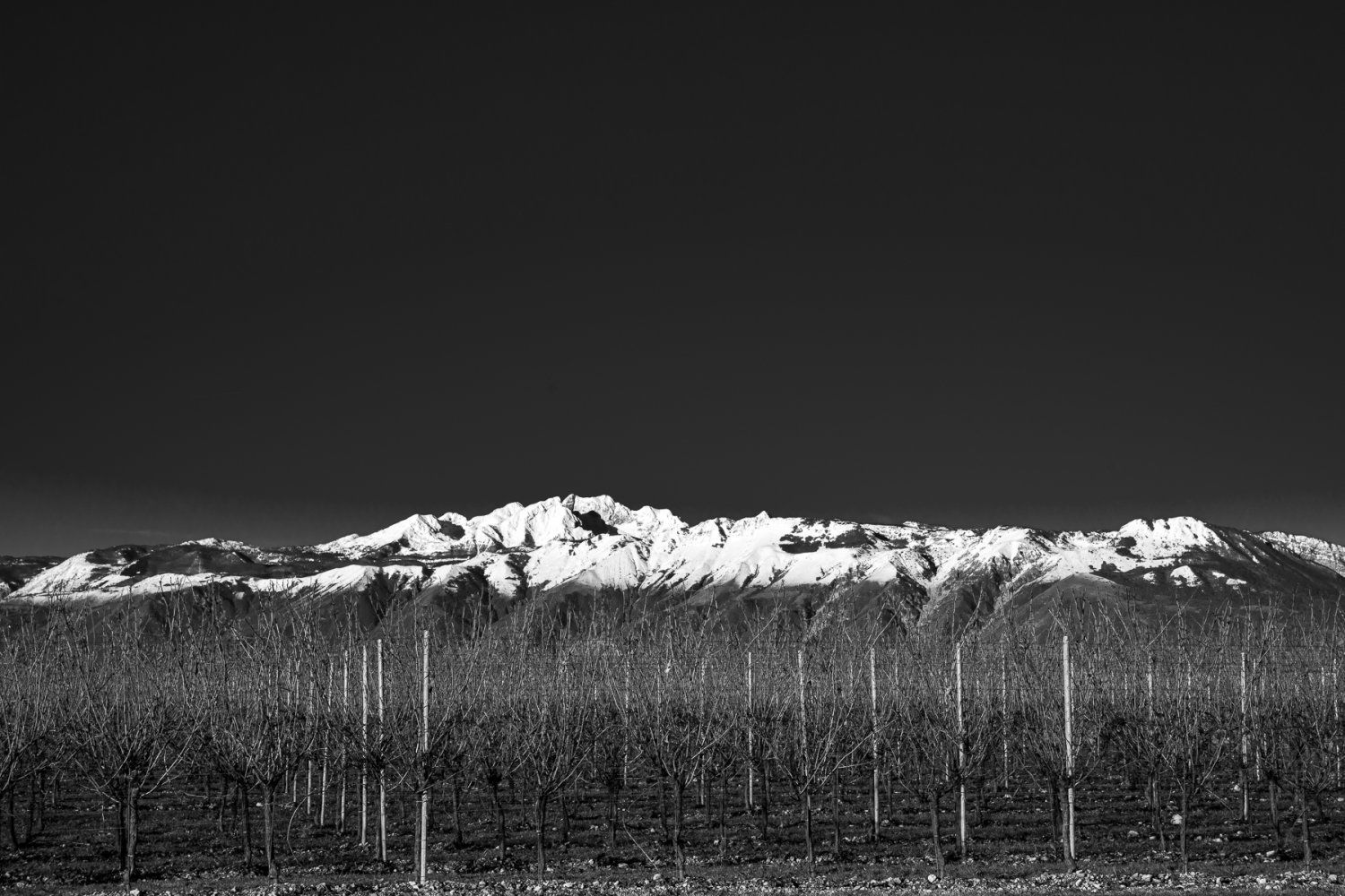CASA VINICOLA ANTONUTTI, Winery in Pasian Di Prato