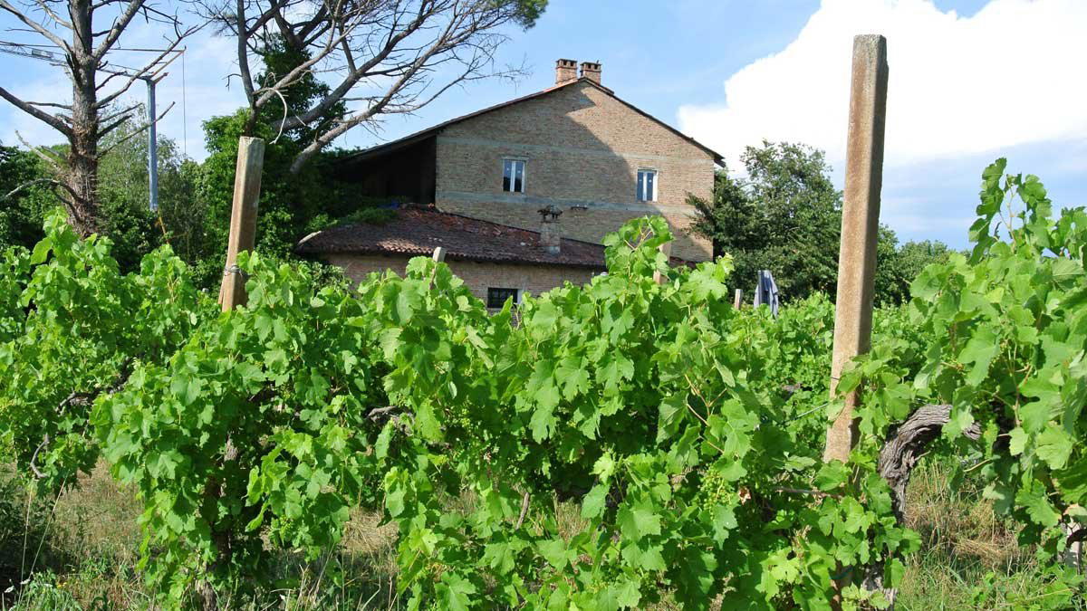 Fornasir, Cervignano Del Friuli, Italy
