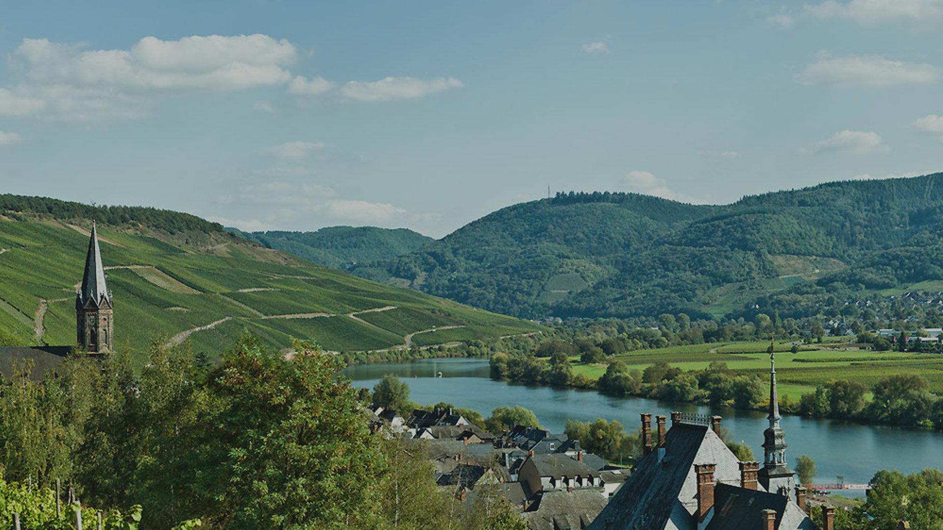 Weingut Schumann winery in Lieser