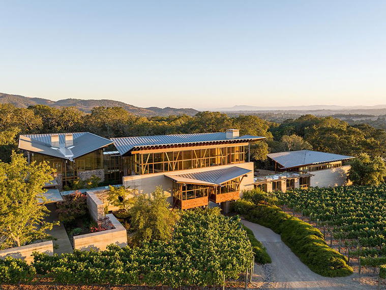 Meteor Vineyard, Napa, United States