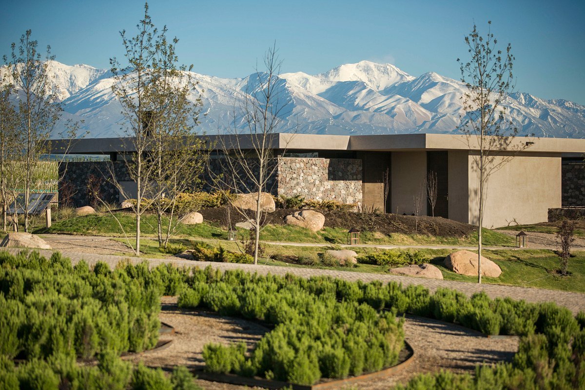 Bodega Viñas Don Martin, Mendoza, Argentina