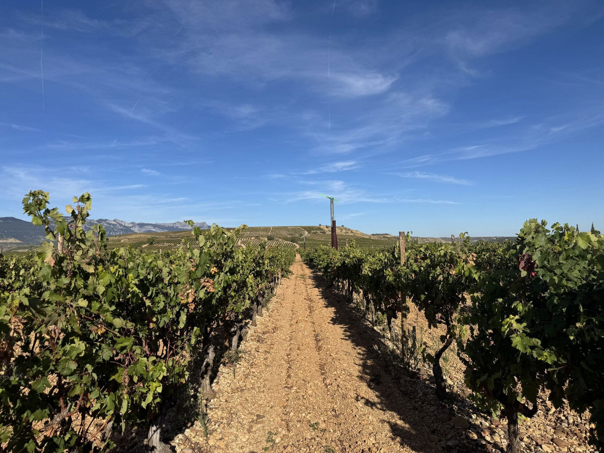 Castagnoli, Winery in Castellina in Chianti