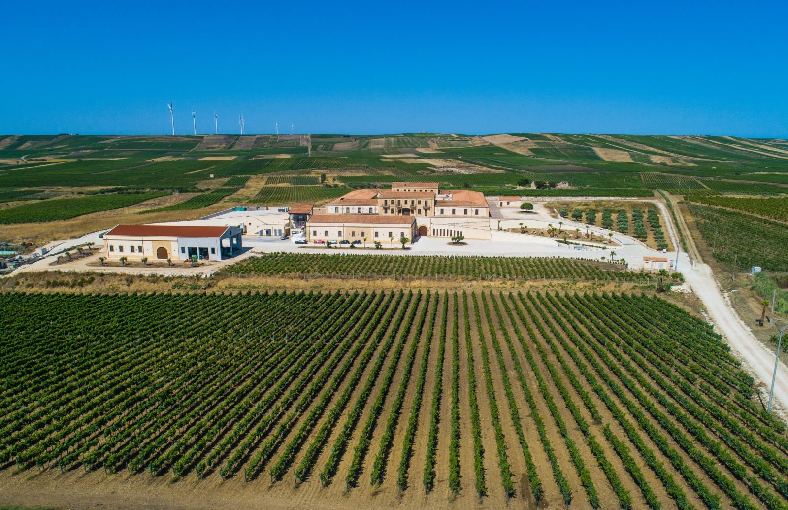 Assuli, Winery in Trapani