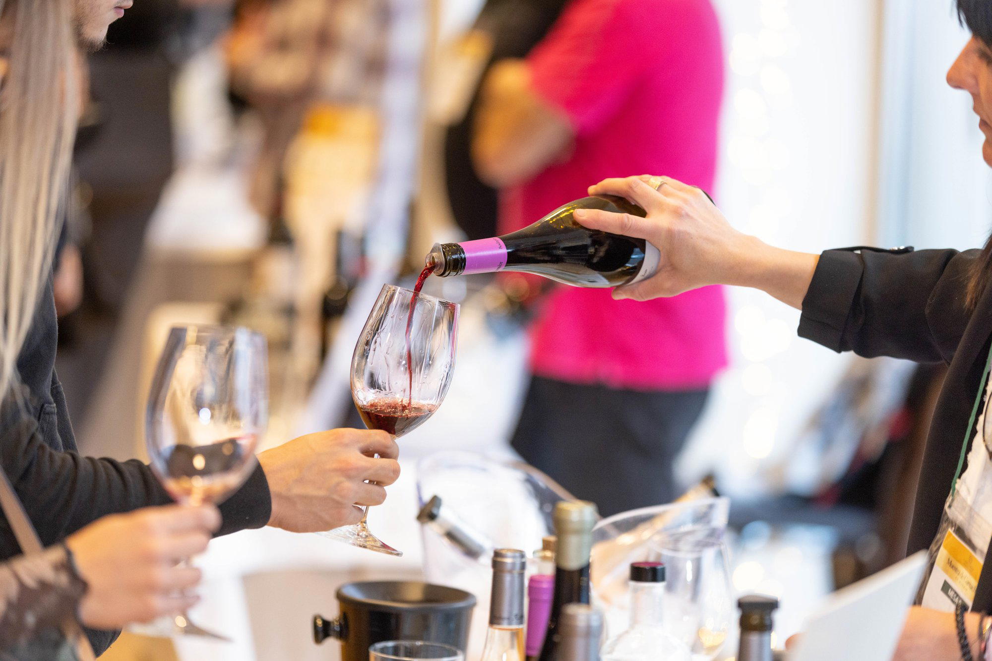 Bodega Virgen de la Sierra winery in Zaragoza, Spain