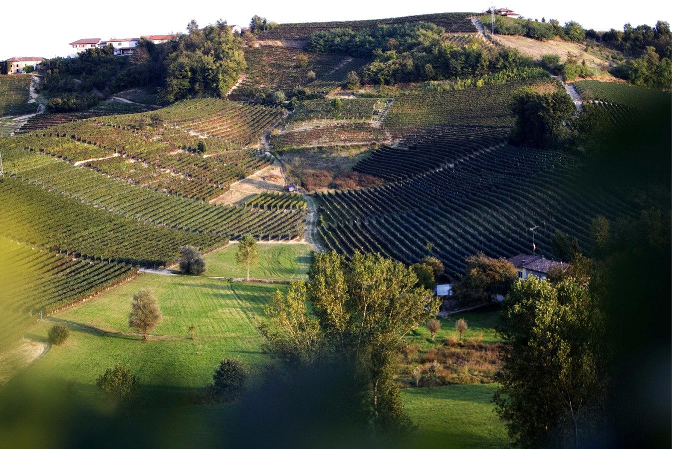 Agostino Pavia & Figli winery in Agliano Terme