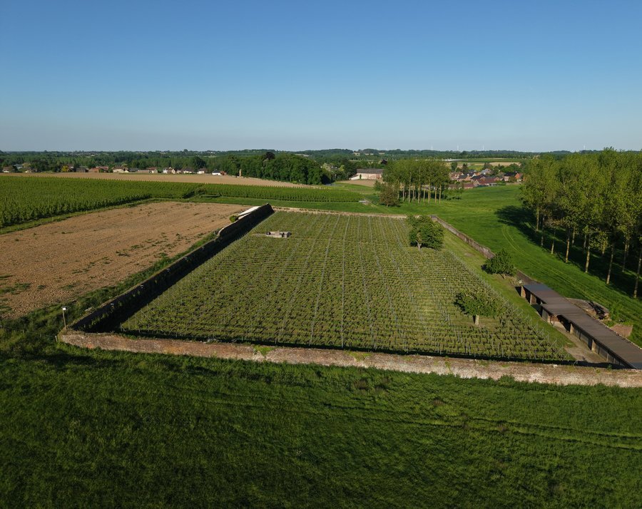 Clos d'Opleeuw, Gors, Belgium