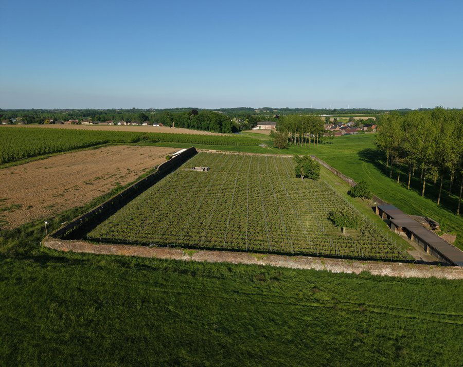 Clos d'Opleeuw, Winery in Gors