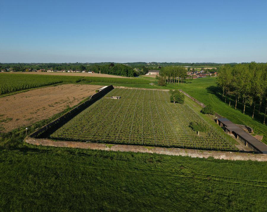 Clos d'Opleeuw winery in Gors