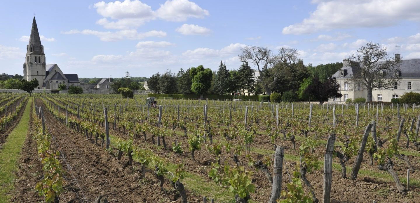 Château de Villeneuve, Winery in Souzay Champigny