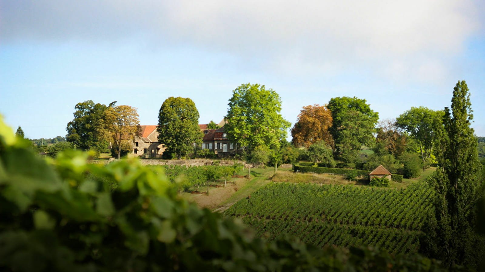 Château de Rougeon winery in Bissey-sous-Cruchaud, France