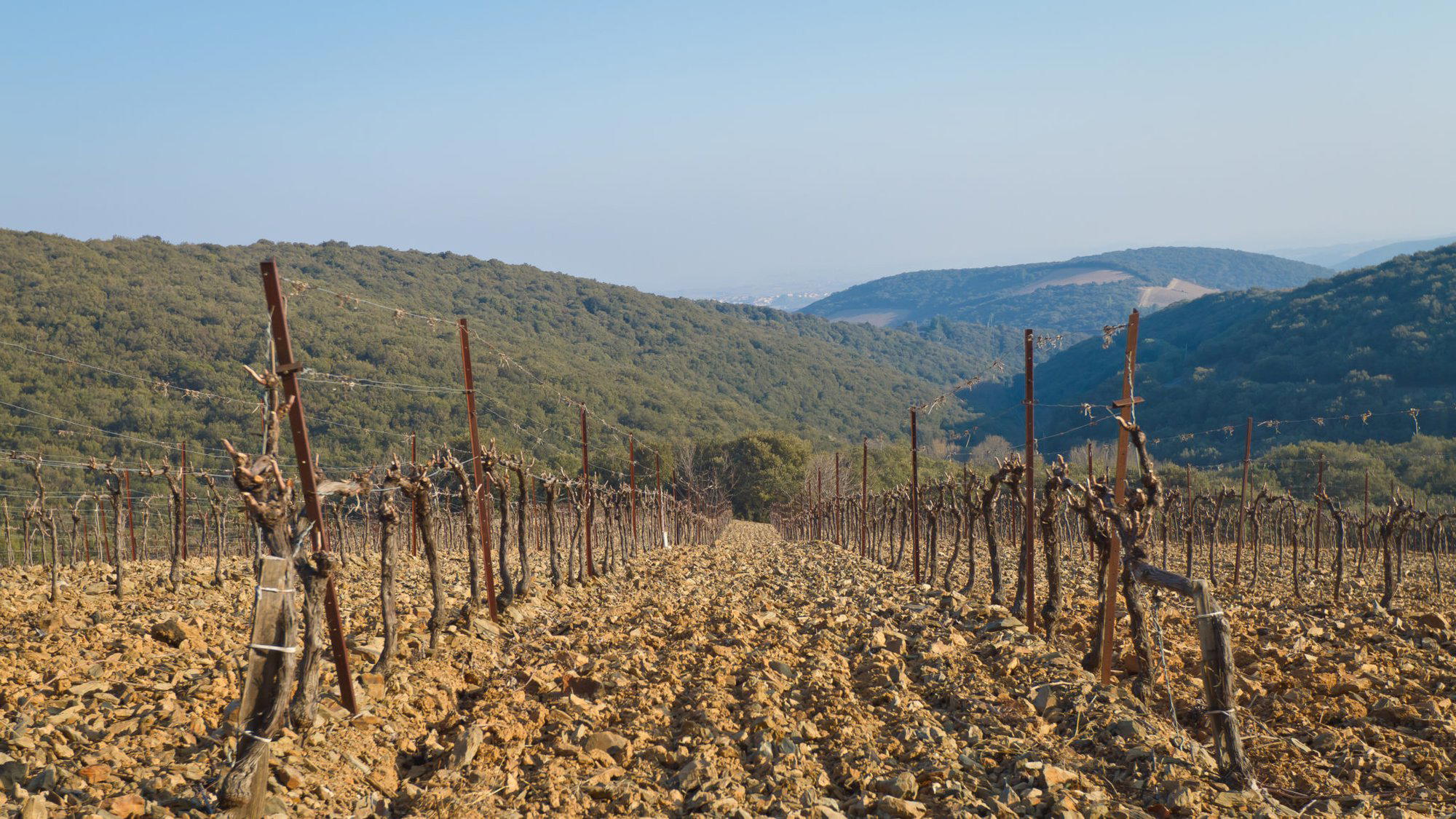 Hecht & Bannier winery in Aix-en-Provence