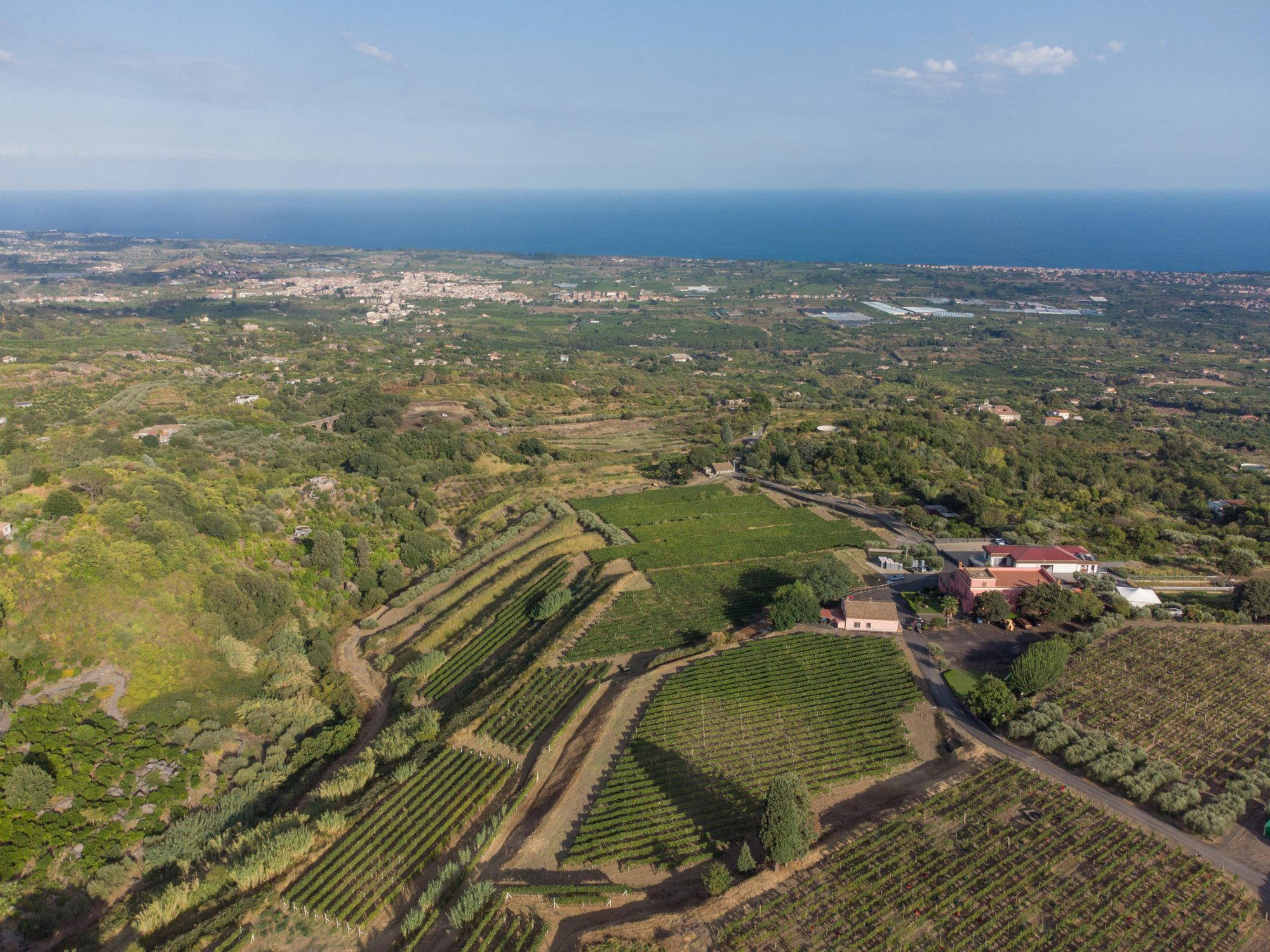 Cantine la Contea winery in Mascali, Italy