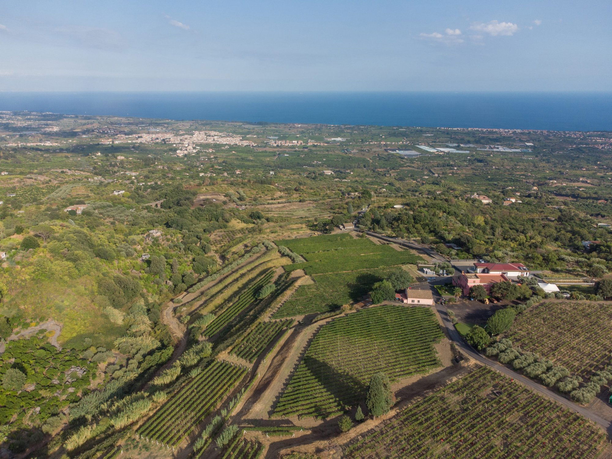 Cantine la Contea, Winery in Mascali