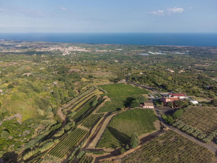 Cantine la Contea, Mascali, Italy