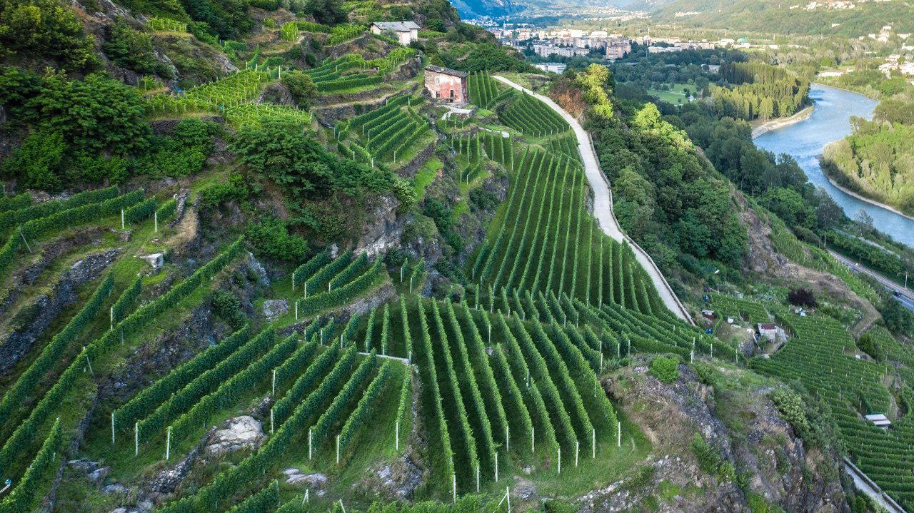 Mamete Prevostini winery in Mese