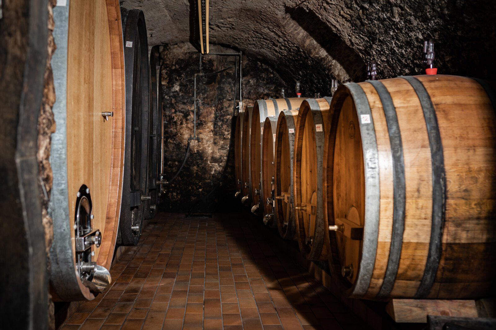 Bischoffinger Winzer winery in Vogtsburg Bischoffingen, Germany