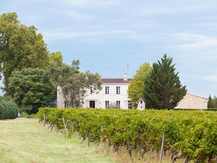 Château Peyrat, Cerons, France
