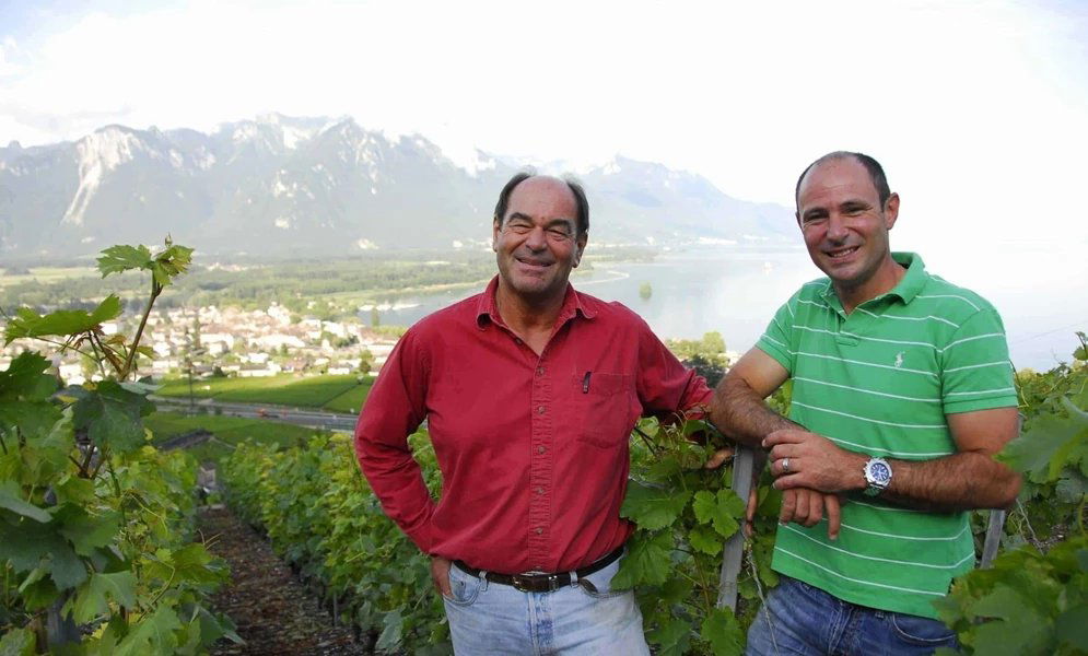 Cave des Rois, Winery in La Tour De Peilz