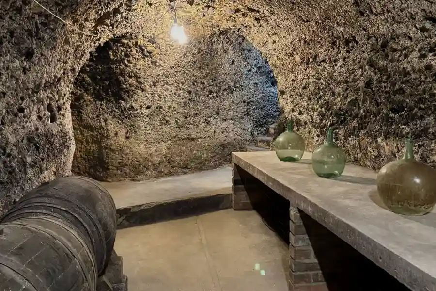 Altos de Rioja, Winery in Elvillar