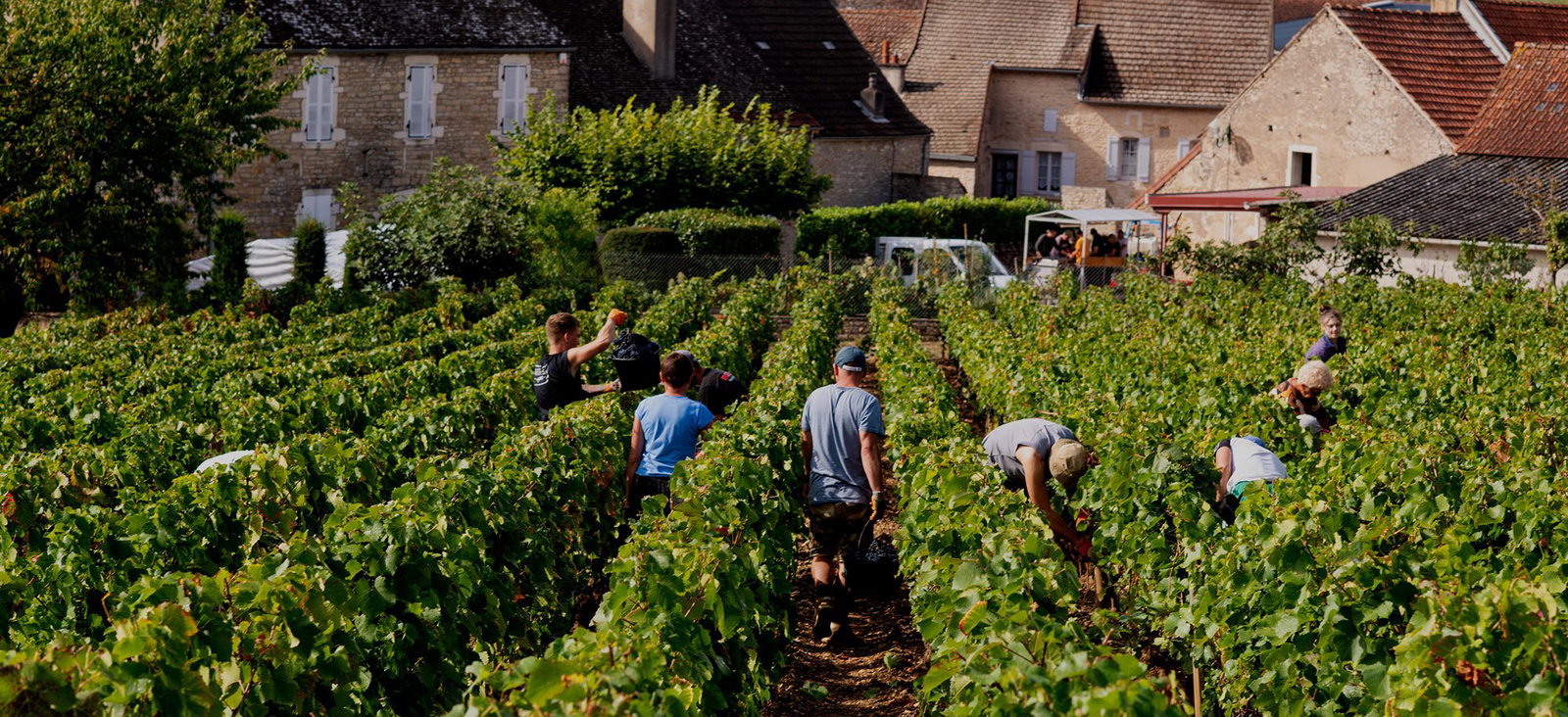 Domaine Hubert Lamy