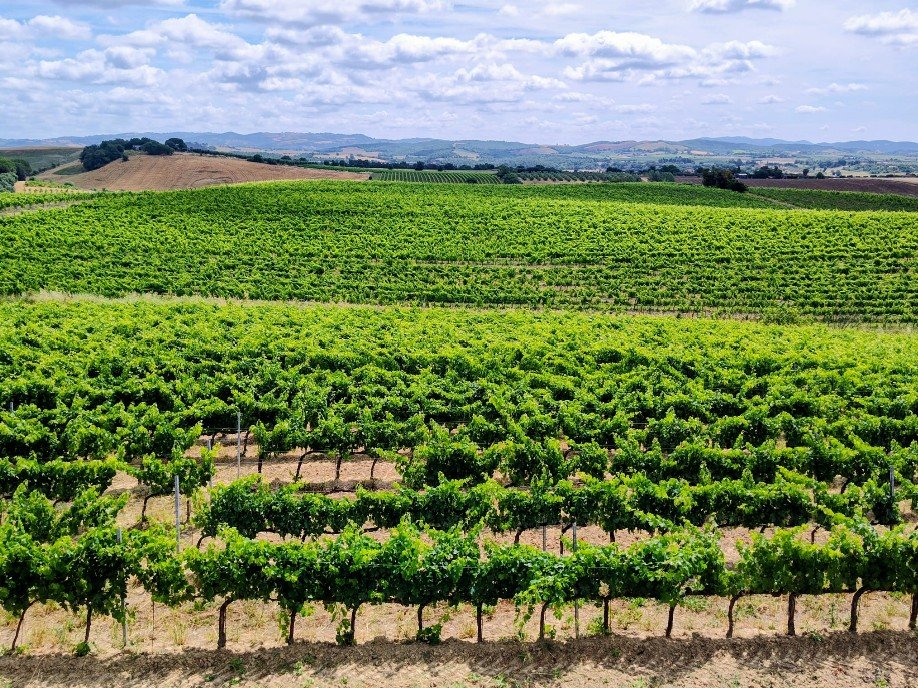 Azienda Agricola Prinsi