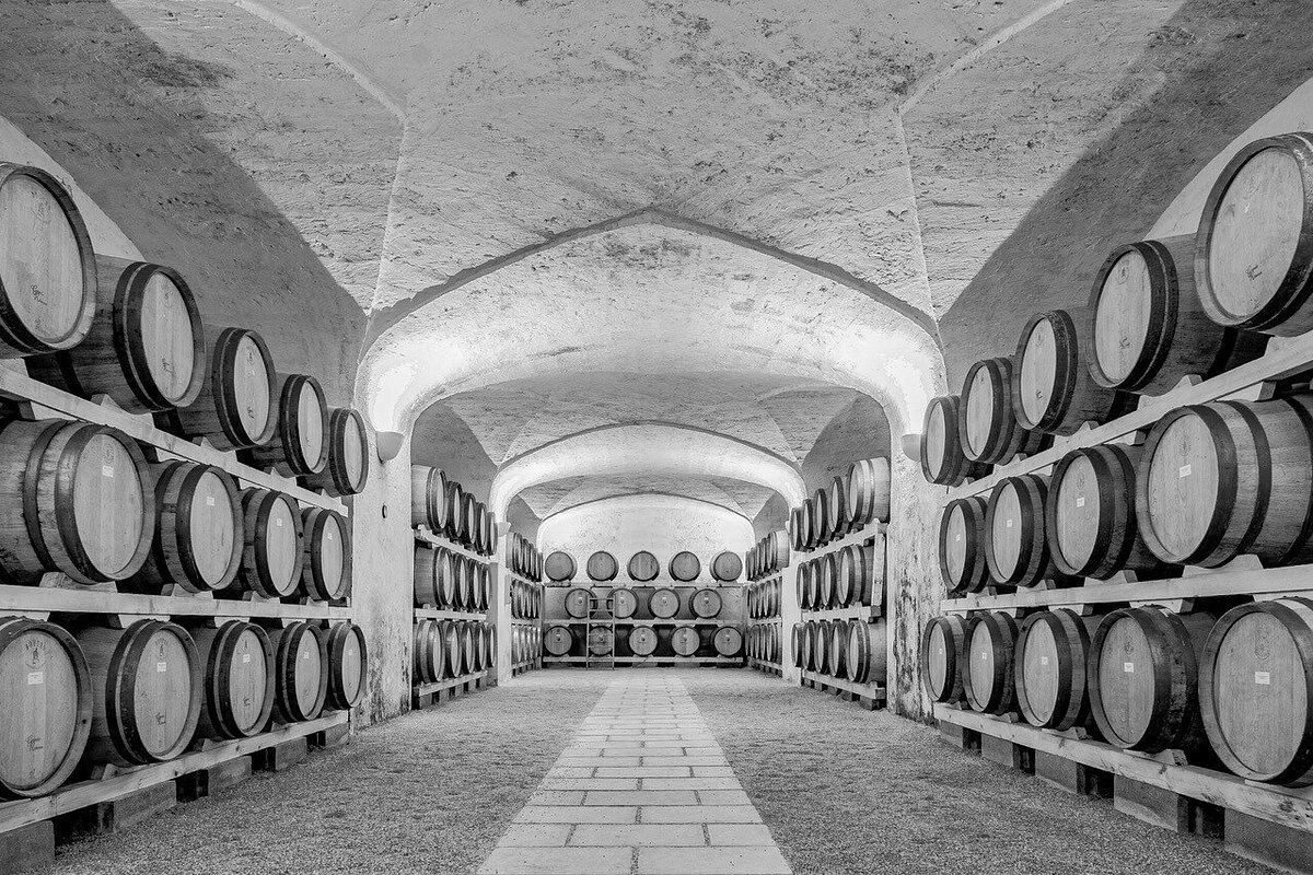 Castel di Salve, Winery in Depressa