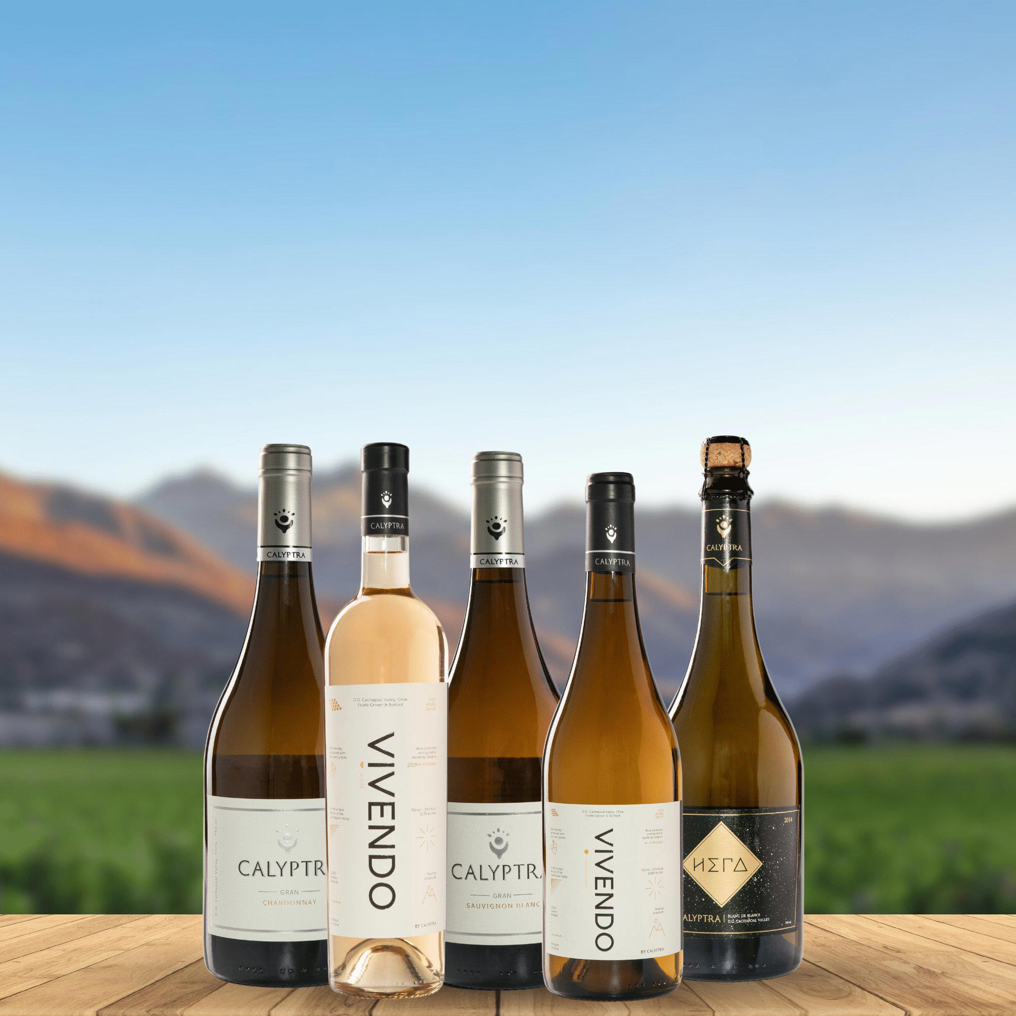 Calyptra winery in Providencia, Chile