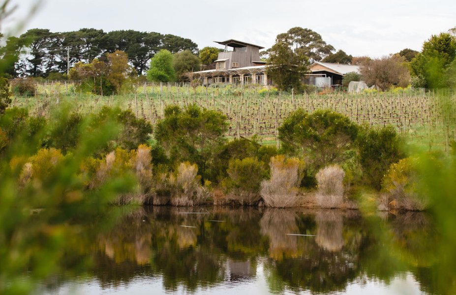 Moorooduc Estate winery in Moorooduc