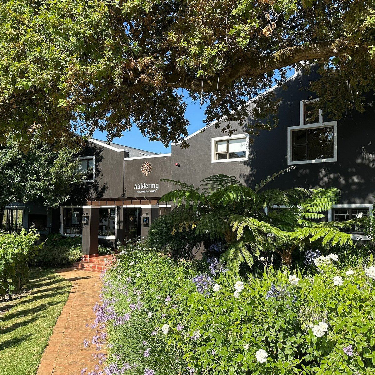 Aaldering Estate, Winery in Stellenbosch