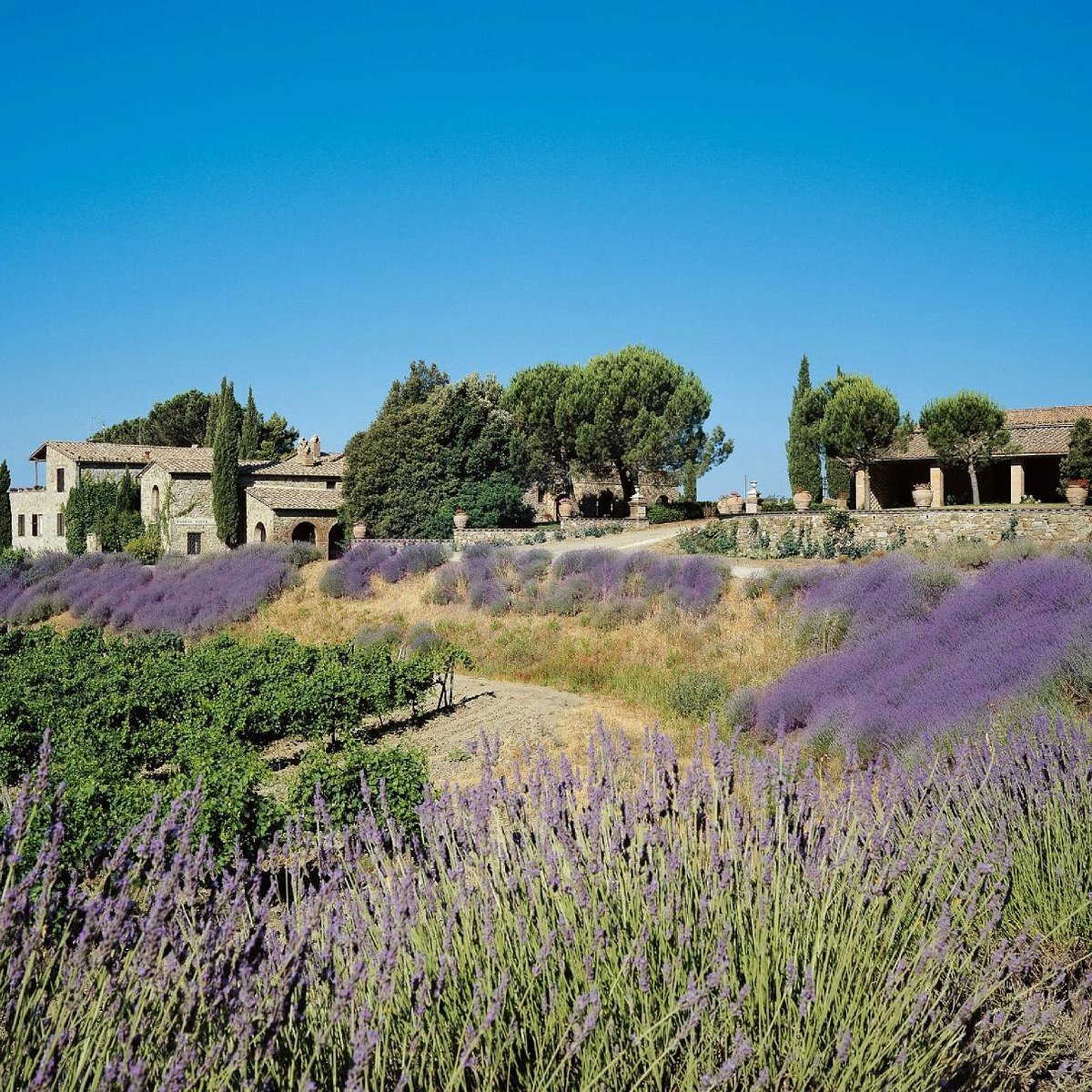 Agricola Poggio Rubino, Montalcino, Italy