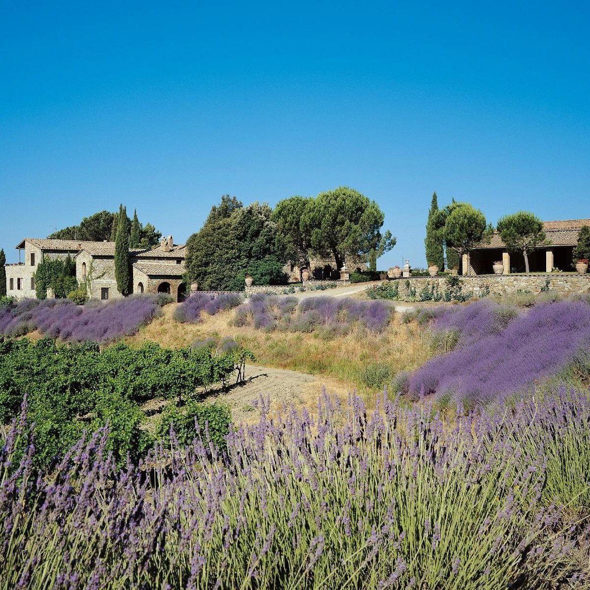 Agricola Poggio Rubino winery in Montalcino